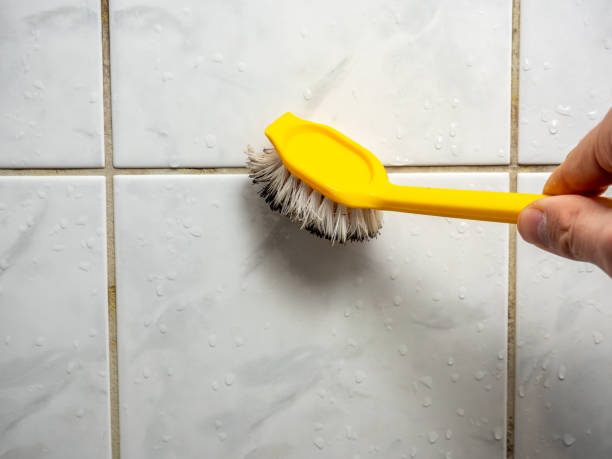 Best Best Mold Removal Companies  in Bowie, TX
