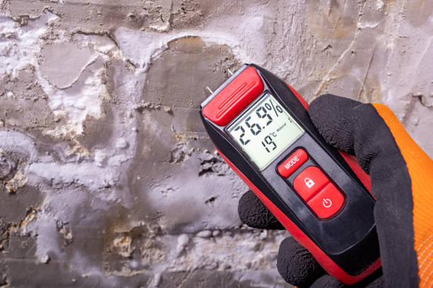 Best Commercial Mold Removal  in Bowie, TX