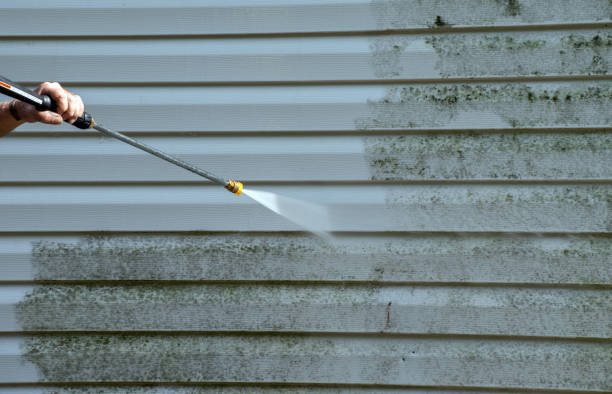 Home Mold Removal in Bowie, TX